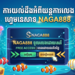 NAGA888 ការចូលនេសាទដោយឥតគិតថ្លៃ – ការណែនាំពេញលេញ